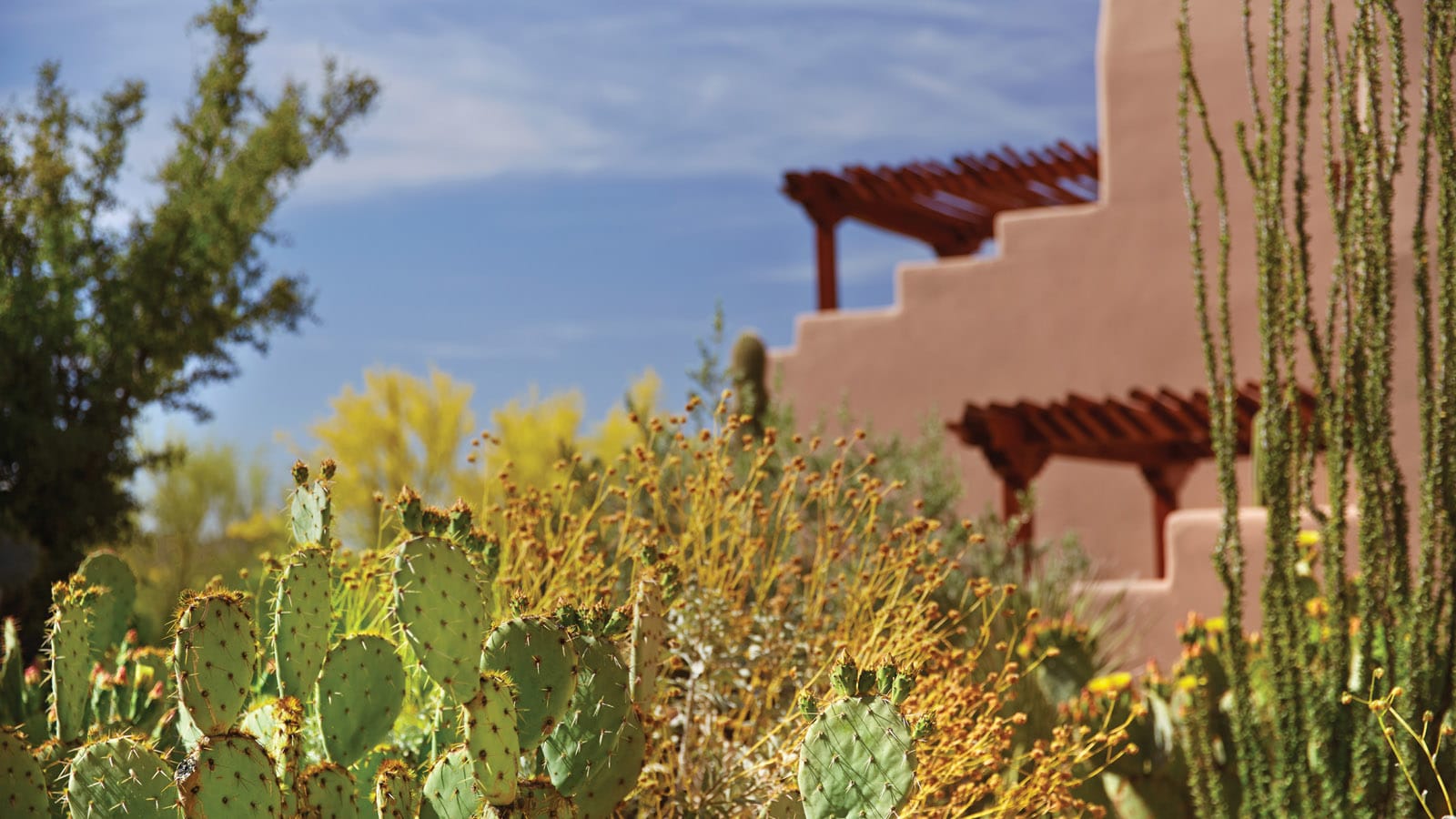 Four Seasons Resort Scottsdale at Troon North prickly pear facade
